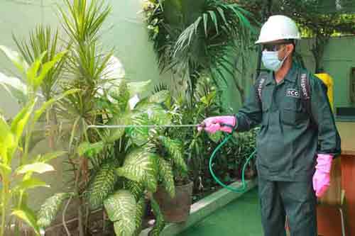 Fumigation-Services (1)